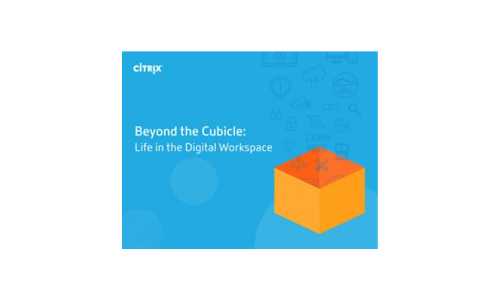 Beyond the Cubicle: Life in the Digital Workspace