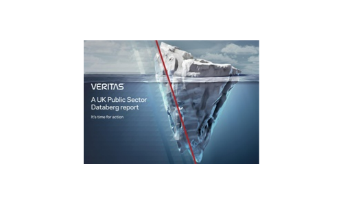 Raport DataBerg w Wielkiej Brytanii 2020 Wersja: Public Sector Edition